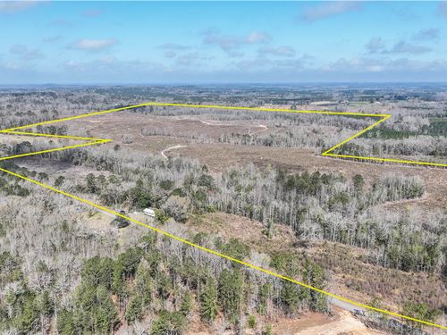 Brown Tract : Banks : Pike County : Alabama