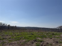 Deer and Duck Hunting Land, View : Morris Chapel : Hardin County : Tennessee