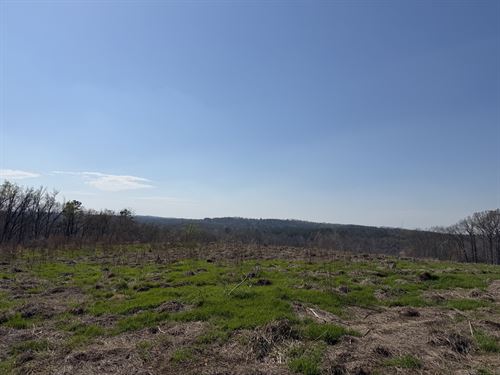 Deer and Duck Hunting Land, View : Morris Chapel : Hardin County : Tennessee