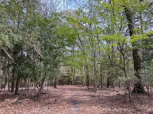 16 Acres, Sue Street : Etoile : Nacogdoches County : Texas