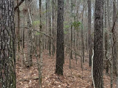 7.2 Acres in Choctaw County, MS : Ackerman : Choctaw County : Mississippi