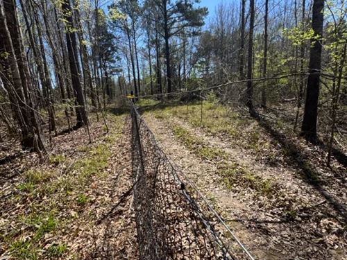 56 Acres in Simpson County, MS : Pinola : Simpson County : Mississippi
