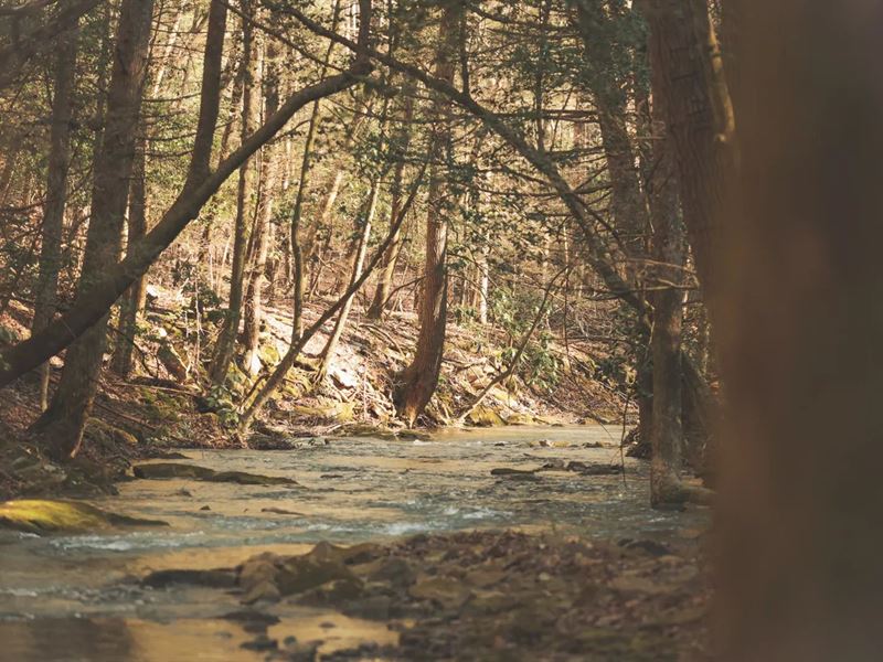 94 Acres with a Home in Hamilton Co : Soddy Daisy : Hamilton County : Tennessee