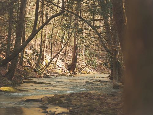 94 Acres With a Home in Hamilton Co : Soddy Daisy : Hamilton County : Tennessee