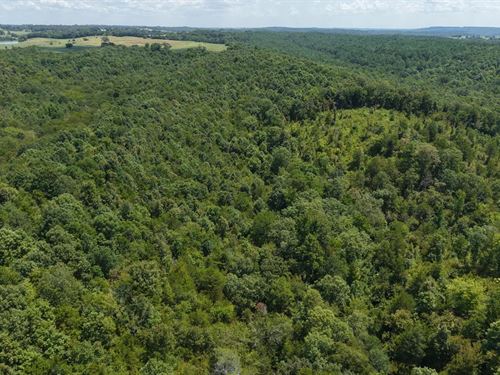 34.29 Acres in Sevier County, AR : Gillham : Sevier County : Arkansas