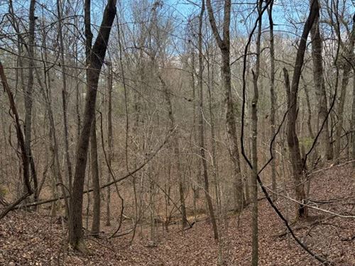 8 Acres in Choctaw County, MS : Ackerman : Choctaw County : Mississippi
