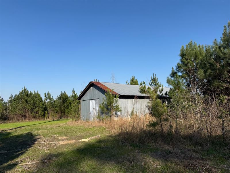 81 Acres in Santuck : Wetumpka : Elmore County : Alabama