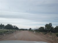 Camp, Build, Explore : Saint Johns : Apache County : Arizona