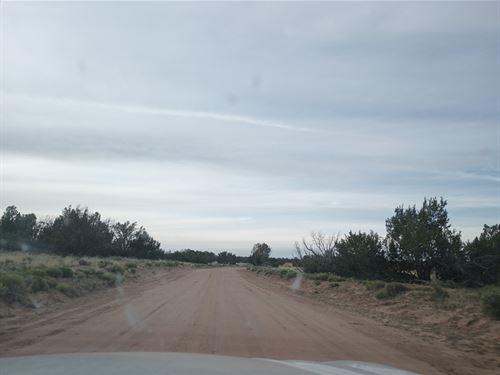 Camp, Build, Explore : Saint Johns : Apache County : Arizona