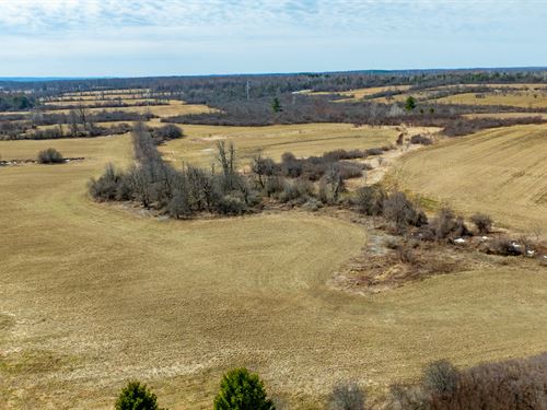 Unique Opportunity for a Potential : Le Ray : Jefferson County : New York