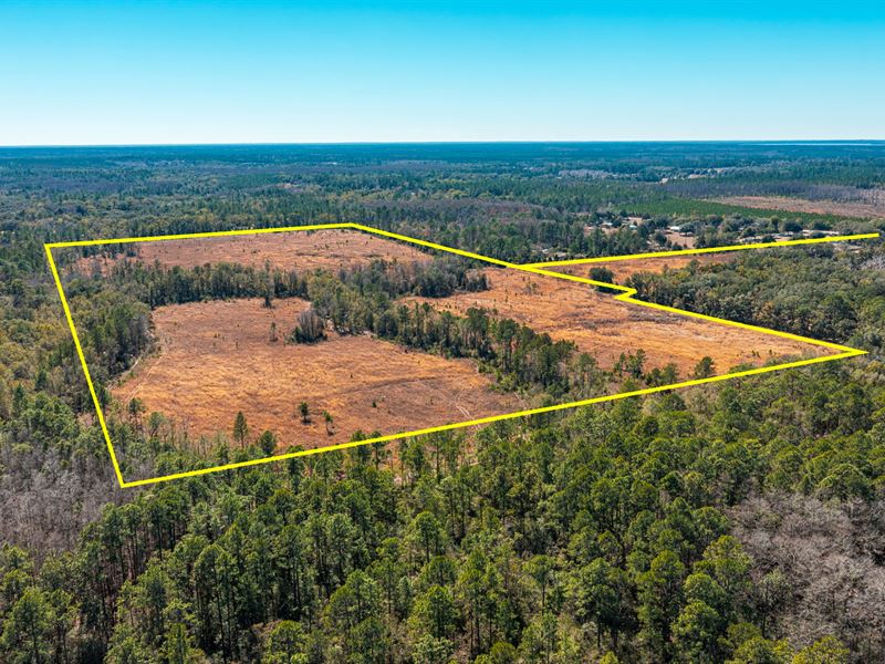 East Alachua County 83 Acres : Hawthrone : Alachua County : Florida