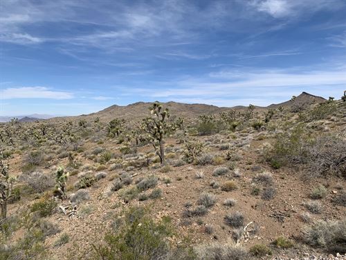 36.24 Acres Undeveloped Land Parcel : White Hills : Mohave County : Arizona