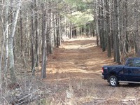 Level County Roads Beautiful Land : Evensville : Bledsoe County : Tennessee