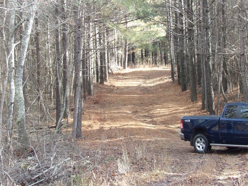 Level County Roads Beautiful Land : Evensville : Bledsoe County : Tennessee