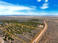Buildable, Tree Covered 5 Acre Land : San Luis : Costilla County : Colorado