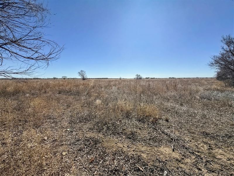 Home with 68 Acres : Olney Springs : Crowley County : Colorado