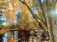 Buy Land or Stay Poor : Jaroso : Costilla County : Colorado