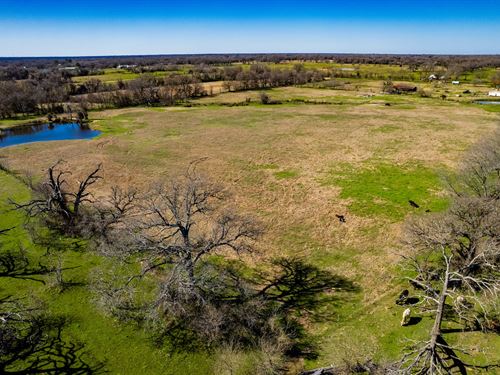 10.01 Acres in Henderson County, TX : Kemp : Henderson County : Texas