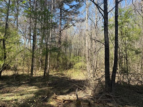 6 Acre Homesite in Taylorsville, GA : Taylorsville : Bartow County : Georgia