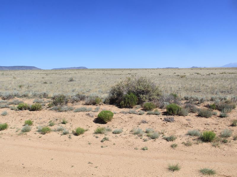 Build, Homestead or Camp $165/Mo : San Luis : Costilla County : Colorado