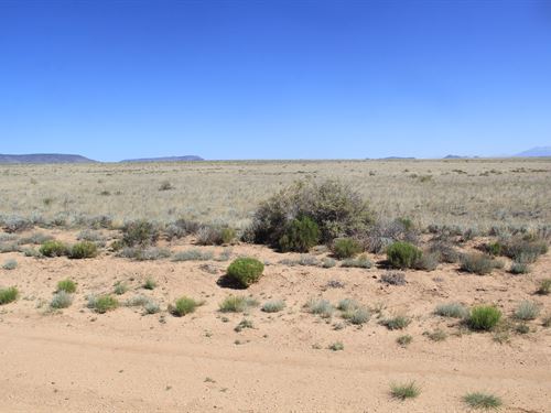 Build, Homestead or Camp $165/Mo : San Luis : Costilla County : Colorado