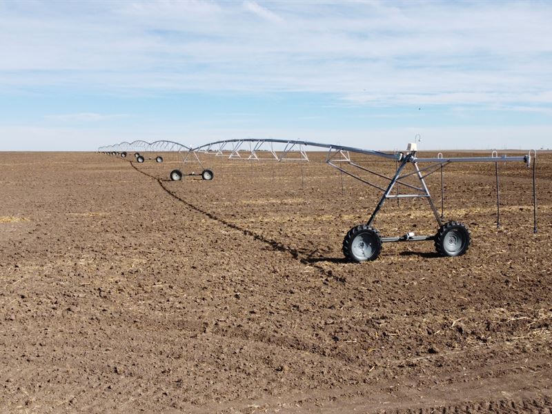 Logan County-Peetz, Hwy 113 Pivot : Peetz : Logan County : Colorado