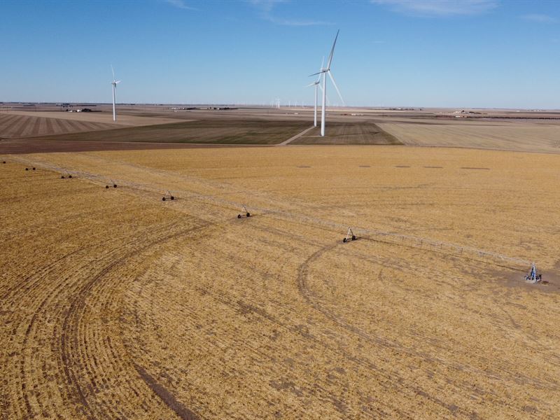 Logan County-Peetz, Cr78/Cr53 : Peetz : Logan County : Colorado