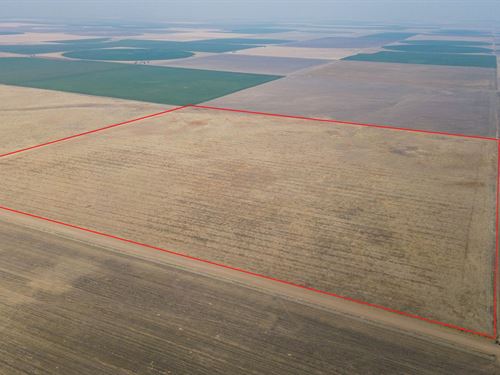 Stanton County Crp Quarter : Manter : Stanton County : Kansas