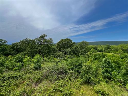 158 Acres, N 4220 Road, Oklahoma : Clayton : Pushmataha County : Oklahoma