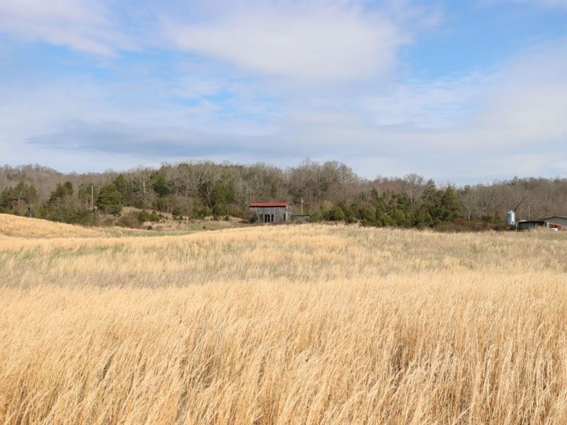 Farming Hunting Dream Home : Bonnieville : Hart County : Kentucky