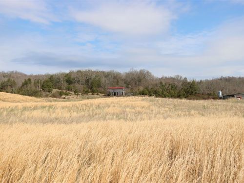 Farming Hunting Dream Home : Bonnieville : Hart County : Kentucky
