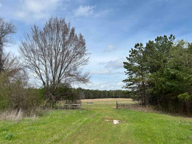 379 Acres in Montgomery County, MS : Winona : Montgomery County : Mississippi