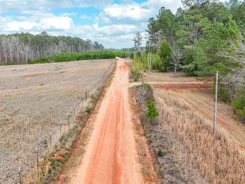 34 Acres, Hunting / Homestead Tra : Lafayette : Chambers County : Alabama