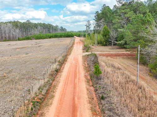 34 Acres, Hunting / Homestead Tra : Lafayette : Chambers County : Alabama