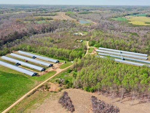 Spain Farm, 8 House Broiler Farm : Bear Creek : Marion County : Alabama