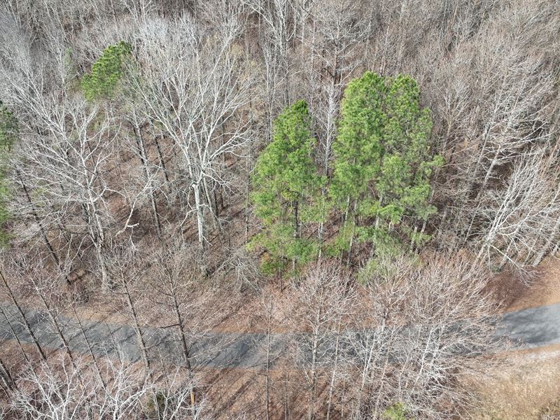 Toney Drive Tract 2 : Egypt : Etowah County : Alabama