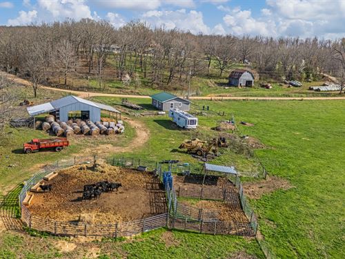 Premier 247 Acre Working Farm : Kosh : Oregon County : Missouri