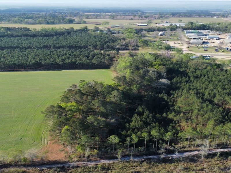 Graham Knight Road, Tract 1 : Glennville : Tattnall County : Georgia