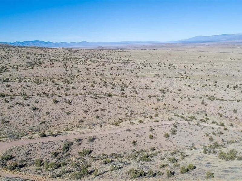 West Sloping, with Legal Access : Hackberry : Mohave County : Arizona