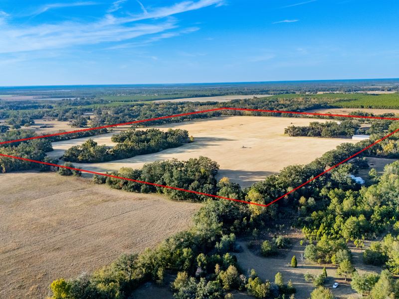 Turnkey Agricultural Operation : Live Oak : Suwannee County : Florida