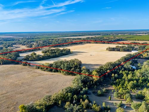 Turnkey Agricultural Operation : Live Oak : Suwannee County : Florida
