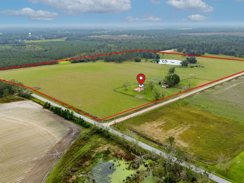 Beautiful Farm and Pond : Jennings : Hamilton County : Florida
