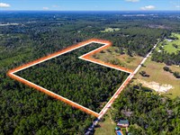 Beautiful Wooded Land in Live Oak : Live Oak : Suwannee County : Florida