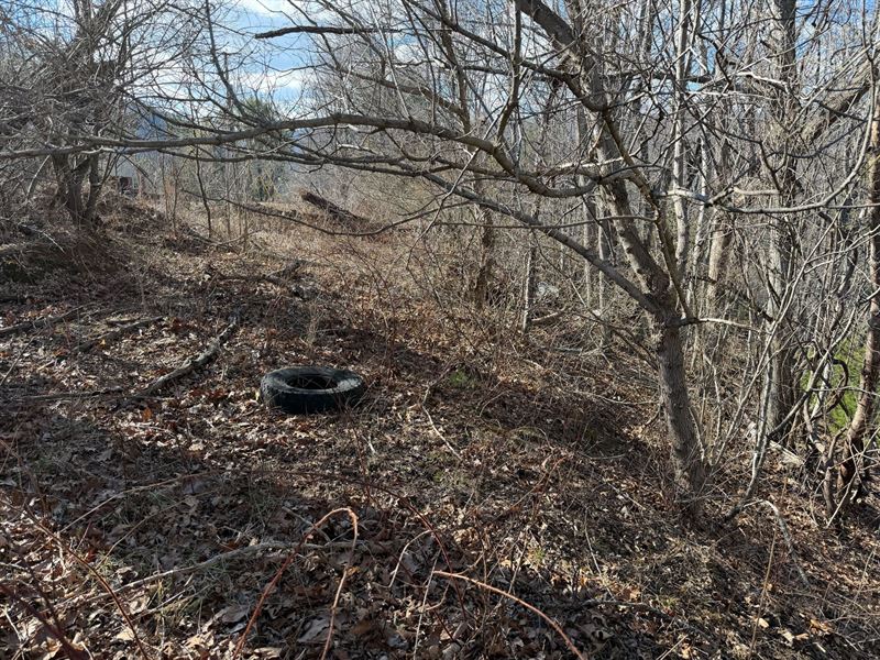 13.99 Acres in Montgomery County VA : Blacksburg : Montgomery County : Virginia