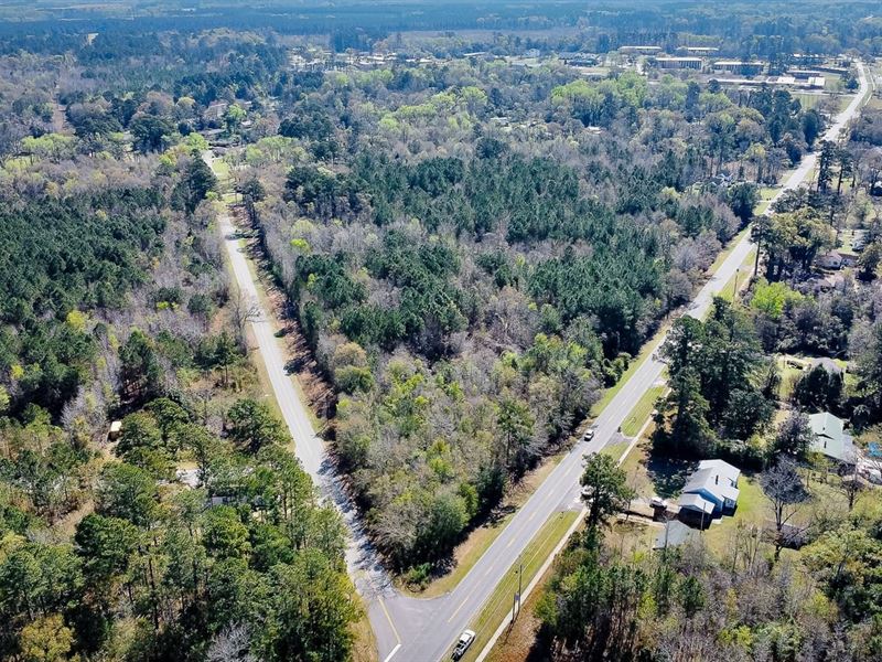 Voorhees Road Tract : Bamberg : Bamberg County : South Carolina