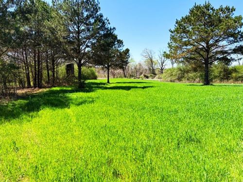 Camp Oliver Rd Recreational : Adger : Jefferson County : Alabama