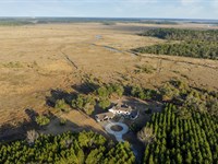 Marsh Oaks : Midway : Liberty County : Georgia