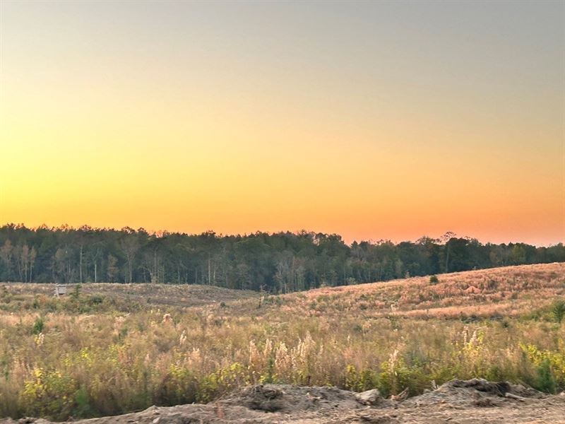 Parcel 4 Sunset Hill Estates : Liberty : Amite County : Mississippi