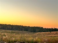 Parcel 8 Sunset Hill Estates : Liberty : Amite County : Mississippi