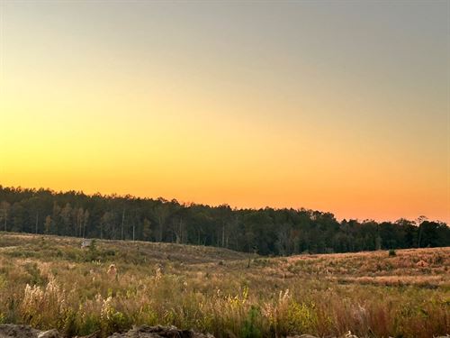 Parcel 8 Sunset Hill Estates : Liberty : Amite County : Mississippi